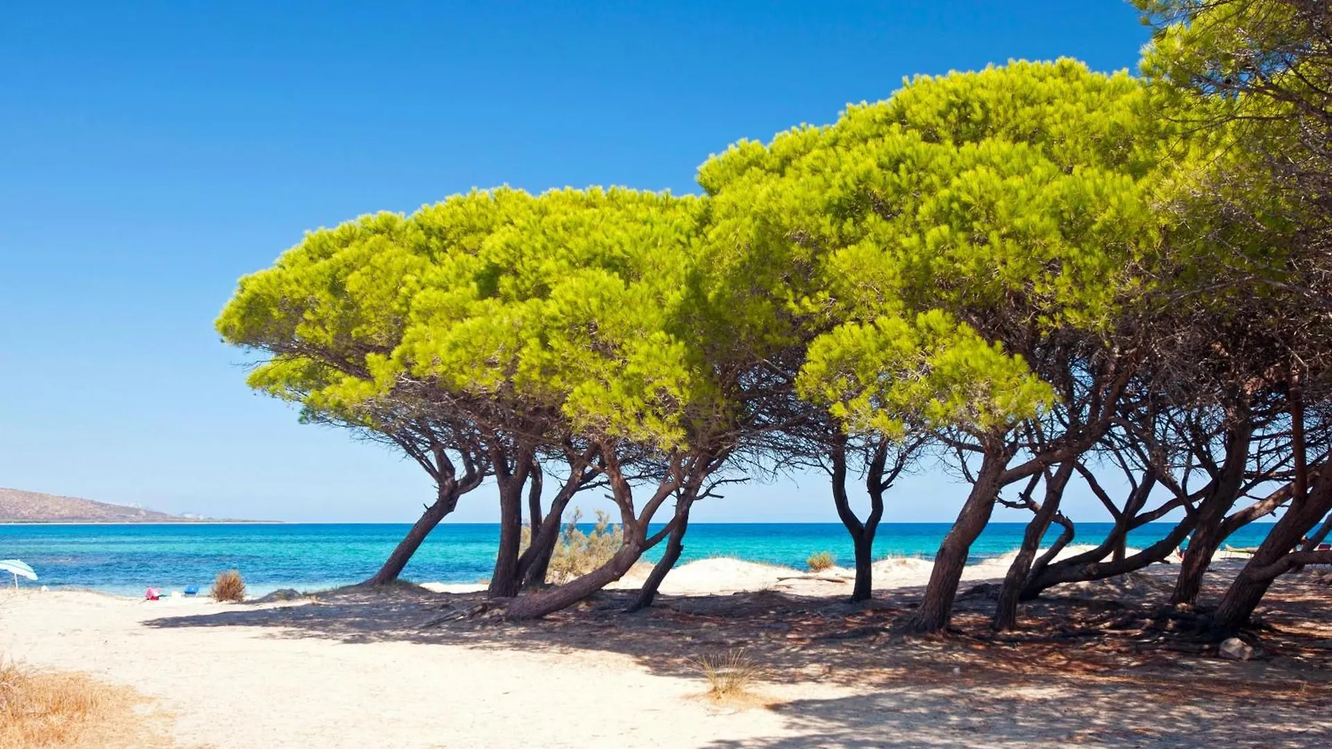 Hotel Futura Club Cala Fiorita Agrustos